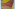 20240305 103246 Image