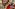 4A2B62D7 8CC5 42B1 9416 0630FA8E8986 Image