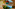 8C52FD7B 3646 4620 895B 60DBD0D50E1D Image
