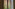 IMG 4681 Image