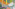 signal 2024 04 29 16 35 00 596 3 Image