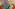 signal 2024 04 29 16 35 00 596 6 Image