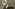 IMG 0411 Image