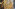 IMG 0424 Image
