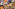 IMG 0432 Image