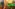 POSTS ARTISTES 23 Image