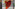 signal 2024 06 29 18 31 00 809 Image