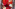 signal 2024 06 29 18 53 20 173 2 Image