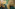 tableau 2024 1 Image